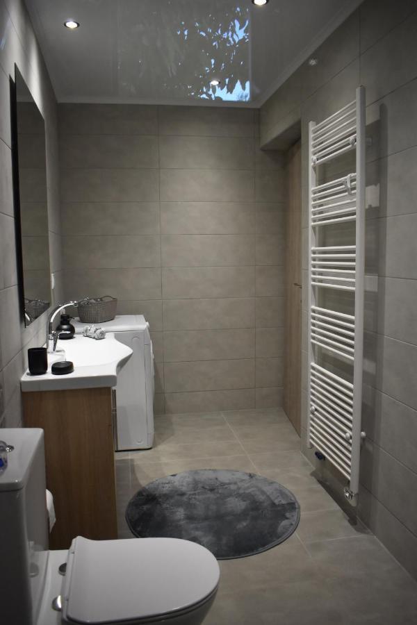 Athina'S Cozy House Apartment Sfakianalion Exterior photo